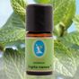 Nuka 30 ml İngiliz Nanesi Yağı