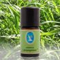 Nuka 5 ml Limon Çimeni Yağı