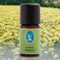 Nuka 5 ml Organik Rezene Yağı