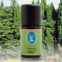 Nuka 5 ml Organik Selvi Yağı