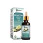 Nutribio 10 ml Okaliptus Yağı
