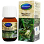 Okaliptüs Aroması 20ml Mecitefendi
