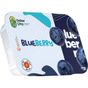 Online Çiftçi 300 gr Blueberry Yaban Mersini
