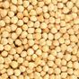 Özgür Kuruyemiş 500 gr Fındık İçi