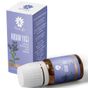 Panlife 10 ml Hodan Yağı