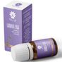 Panlife 10 ml Lavanta Yağı