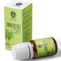 Panlife 10 ml Limon Otu Yağı