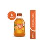 Pınar 250 ml Frii Şekersiz Mandalina Gazlı İçecek