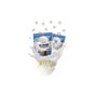 Refresh 30 gr Freeze Dry Vanilyalı Dondurma