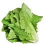 Royaleks 10 gr Yedikule Marul Tohumu
