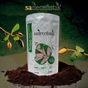Sadece Fıstık 500 gr Antep Fıstığı