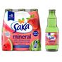 Saka Çilek Karpuz B+ Aromalı 200 ml Maden Suyu