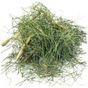 Samed Furkan 40 gr Kırkkilit Otu