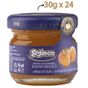 Seğmen Kavanoz 24x30 gr Kayısı Reçeli