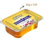 Seğmen Piknik 100x20 gr Süzme Çiçek Balı
