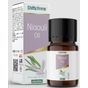 Shiffa Home 10 ml Niouli Yağı