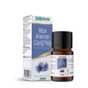 Shiffa Home 5 ml Mavi Anemon Çiçeği Yağı
