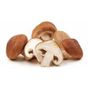 Shitake Mantar