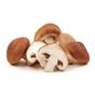 Shitake Mantar kg