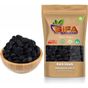 Şifa Baharat 1000 gr Kara Üzüm