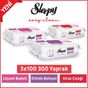 Sleepy Easy Clean Lilyum Buketi + Orkide Bahçesi + Kiraz Çiçeği 3x100 Yüzey Temizleme Mendili