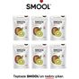 Smool 6x15 gr Freeze Dried Kivi