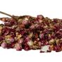 The Marlen 100 gr Aşk Çayı