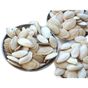 Ticaret Denizi 1.5 kg Çiğ Tuzsuz Kabak Çekirdeği