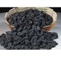 Ticaret Denizi 1.5 kg Yeni Mahsül Taze 1. Kalite Çekirdeksiz Yumuşak Siyah Üzüm