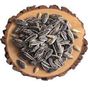 Ticaret Denizi 150 gr Dakota İri Boy Elek Üstü İnegöl Yerli Çiğ Siyah Ay Çekirdeği