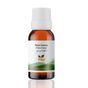 Tito 10 ml Pesto Aroması