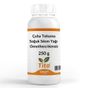 Tito 250 gr Çuha Uçucu Yağı