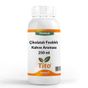 Tito 250 ml Premium Çikolatalı Fındıklı Kahve Aroması