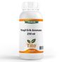 Tito 250 ml Premium Yeşil Erik Aroması