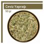 TOS The Organic Spices 50 gr 1.Kalite Ceviz Yaprağı