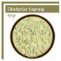 TOS The Organic Spices 50 gr 1. Kalite Okaliptüs Yaprağı