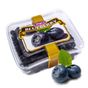 Tuğba Kuruyemiş 95 gr Blueberry Kurusu