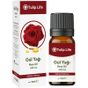 Tulip Life 10 ml Gül Aroma Yağı
