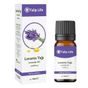 Tulip Life 10 ml Lavanta Uçucu Yağı