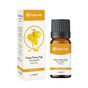 Tulip Life 10 ml Ylang Ylang Uçucu Yağı
