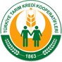 Türkiye Tarım Kredi Kooperatifleri 350 gr Cevizli Helva