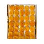 Türkiyem Organik Ürünler 1 kg Jumbo Xl Malatya Kayısı