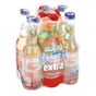 Uludağ 250 ml Frutti Extra Orman Meyveli Soda