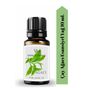 Vivaldi Home 10 ml Çay Ağacı Uçucu Yağ Buhurdanlık Oda Kokusu