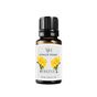 Vivaldi Home 10 ml Frezya Çiçeği Aromaterapi Uçucu Yağ Esansiyel Buhurdanlık Yağı