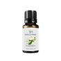 Vivaldi Home 10 ml Yasemin Çiçeği Aromaterapi Uçucu Yağ Esansiyel Buhurdanlık Yağı