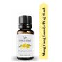 Vivaldi Home 10 ml Ylang Ylang Uçucu Yağ Buhurdanlık Oda Kokusu