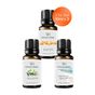 Vivaldi Home 3x10 ml Kavun, Okaliptus, Okyanus Esintisi Uçucu Yağ Buhurdanlık Yağı