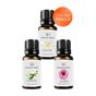 Vivaldi Home 3x10 ml Lilyum, Yasemin, Amber Uçucu Yağ Buhurdanlık Yağı