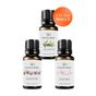 Vivaldi Home 3x10 ml Okaliptus, Şakayık, Sakura Uçucu Yağ Buhurdanlık Yağı